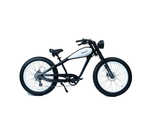 munro electric bike for sale