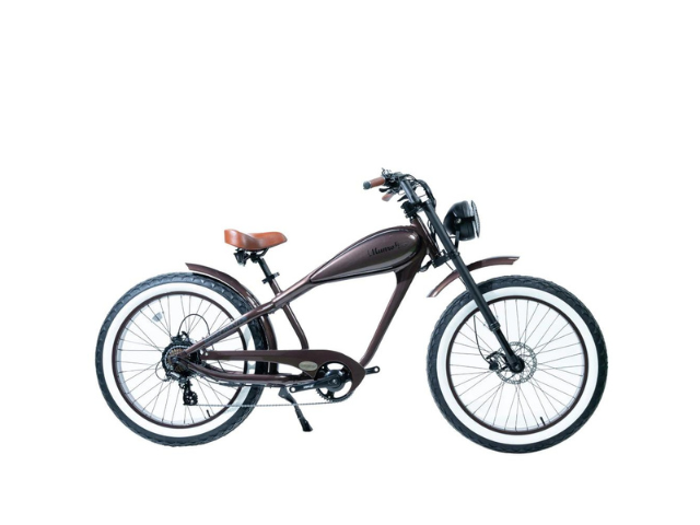 What to Consider When Buying a Vintage E-Bike?
